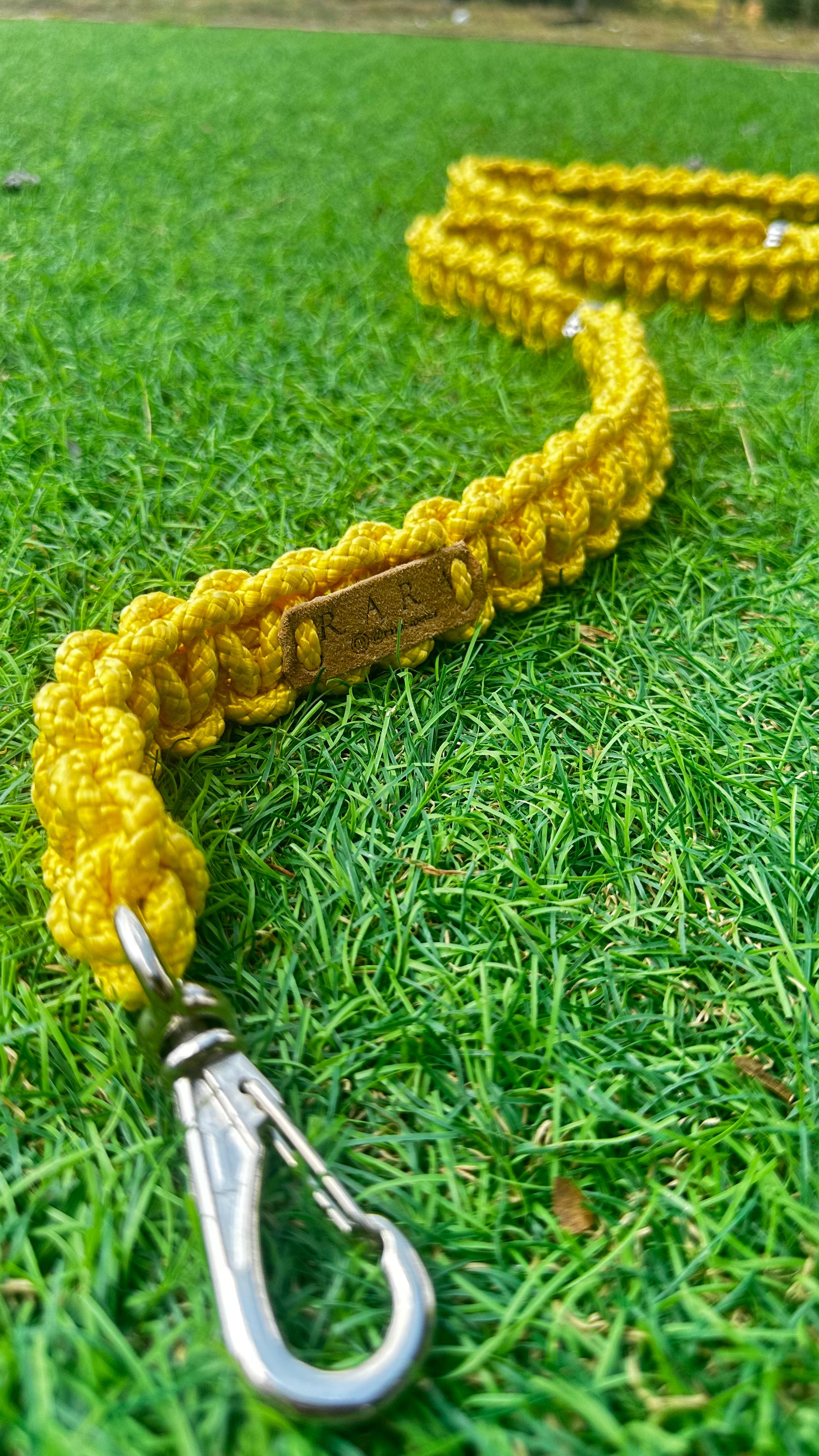 Guia Para Cães - Lece - Porte Médio/Grande