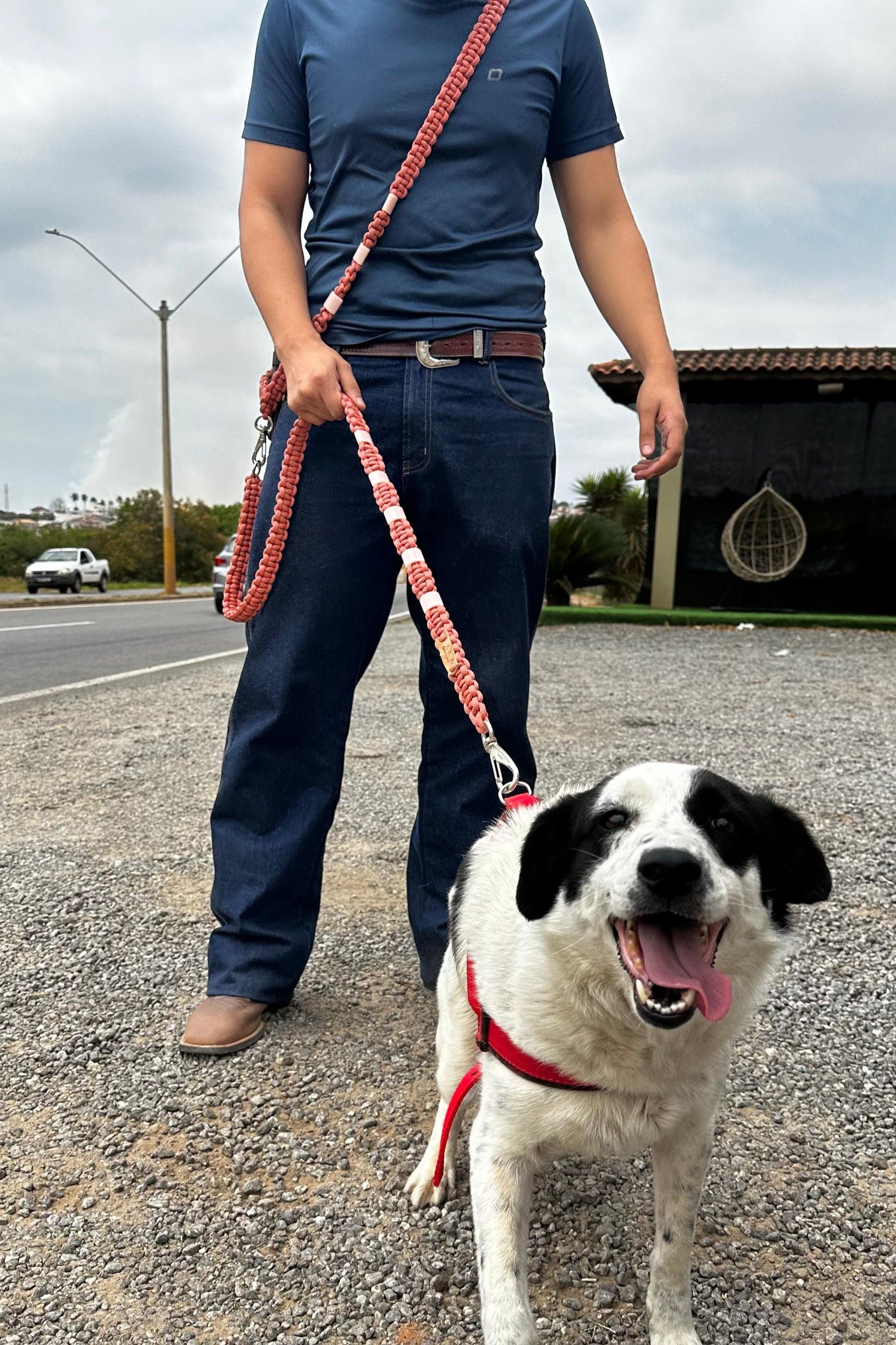 Guia para Cães - Max